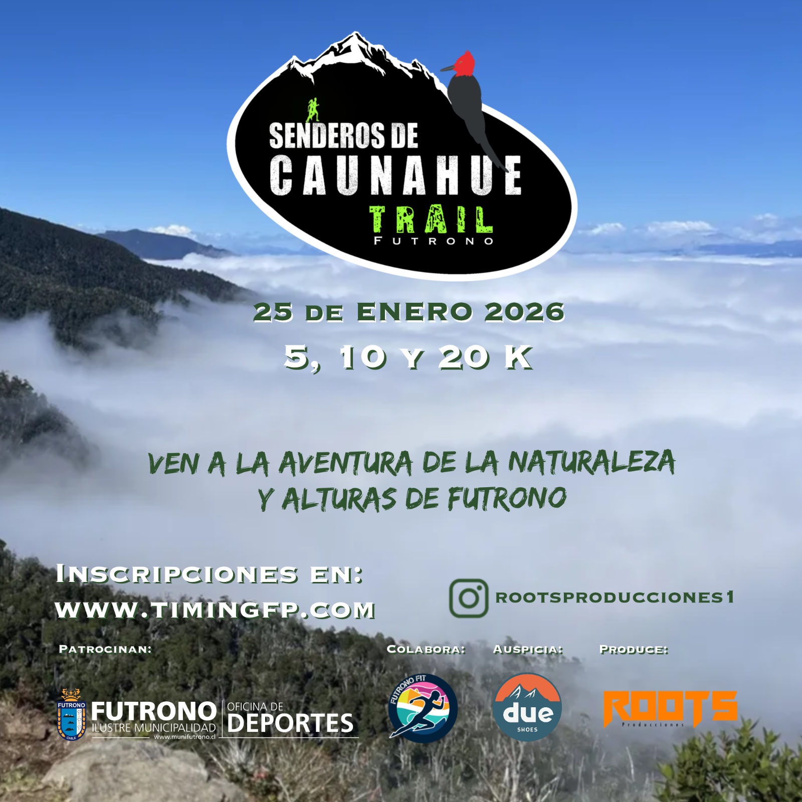 Senderos de Caunahue